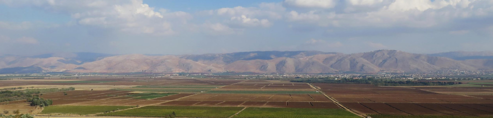 BEKAA